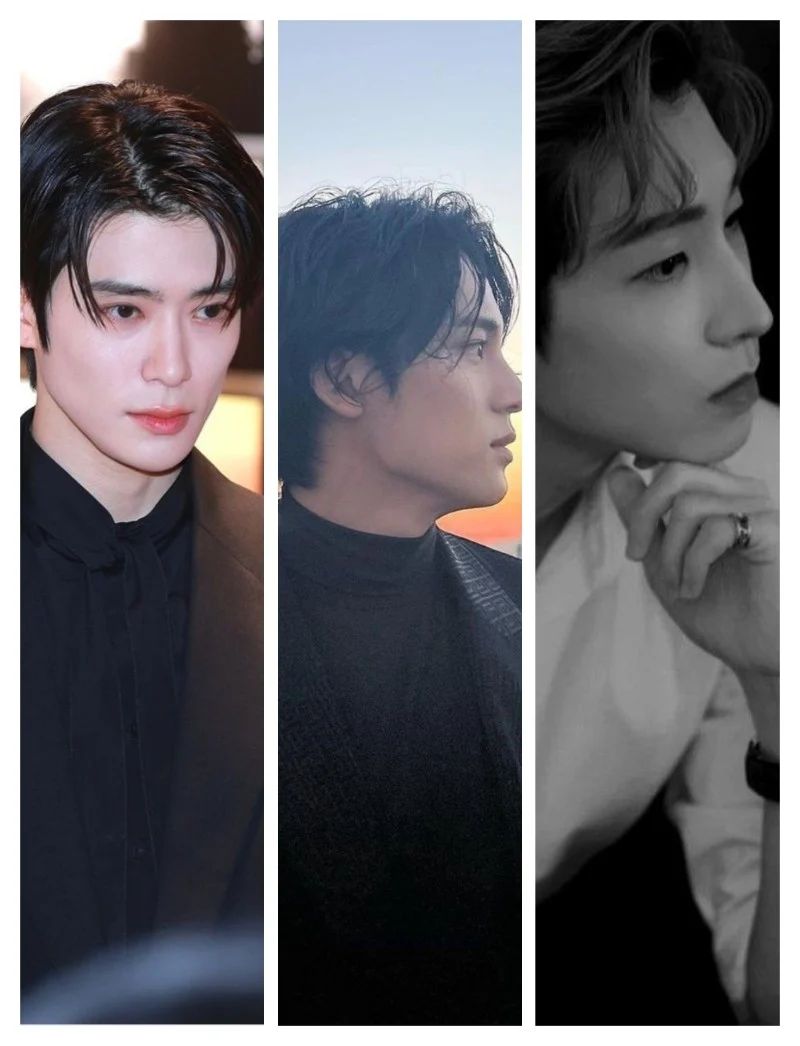 Avatar of Mingyu Jaehyun Wonwoo