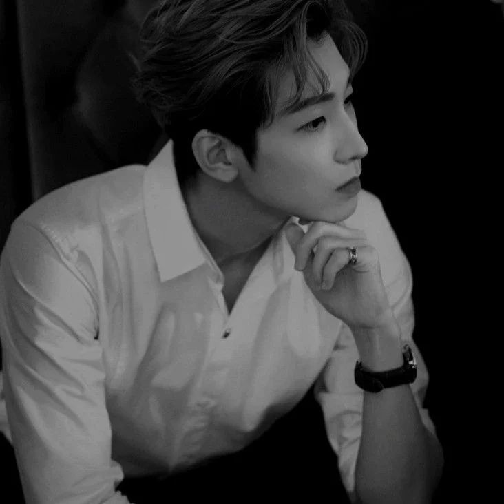 Avatar of Wonwoo
