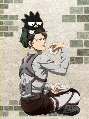 Avatar of Levi Ackermann