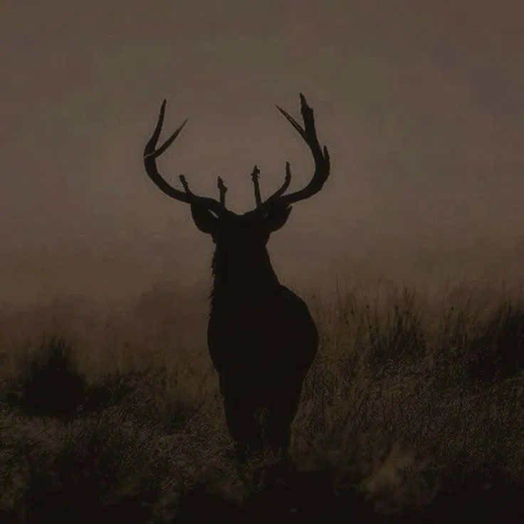 Avatar of James Potter