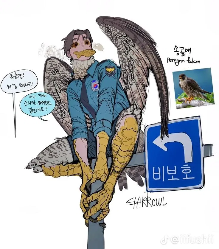 Avatar of DemiHuman December 『Peregrine falcon』☆Eyes of the sky☆