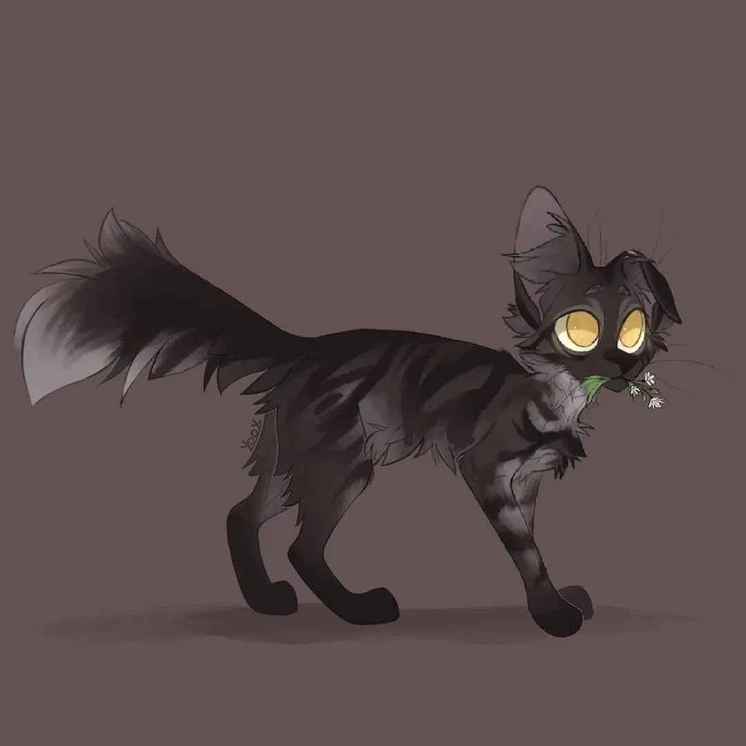 Avatar of Shadowsight