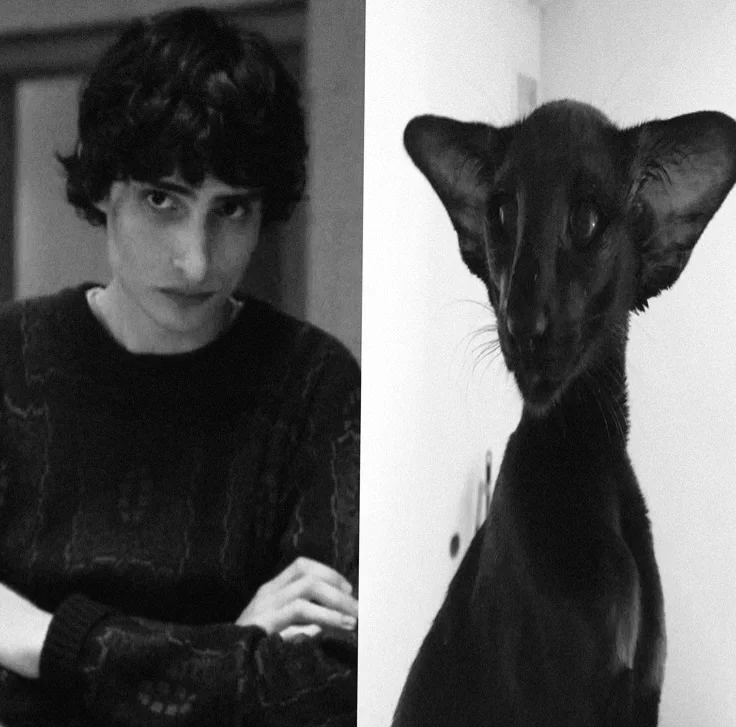 Avatar of catboy! Mike Wheeler