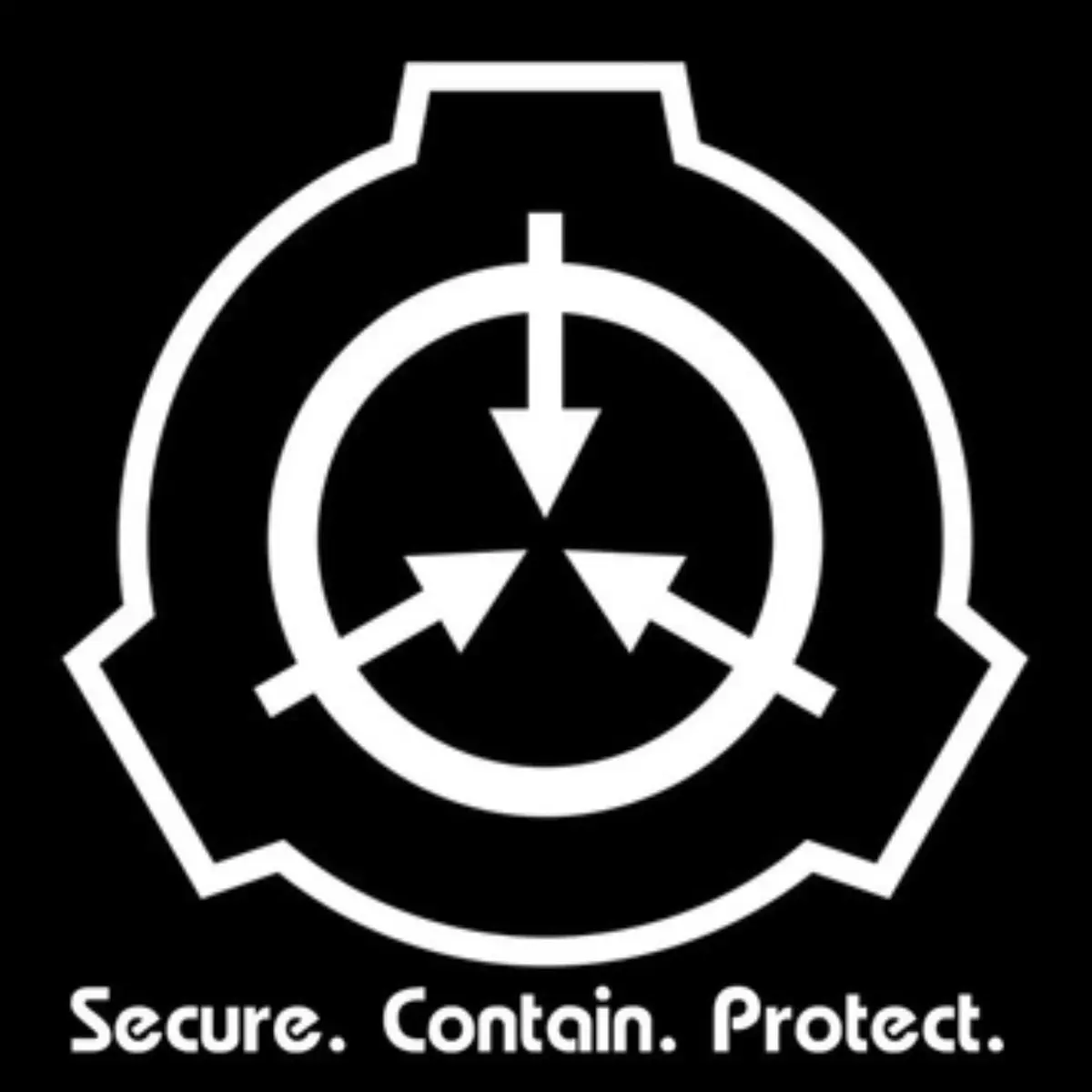 Avatar of SCiPNET-1.1 || SCP Information Terminal