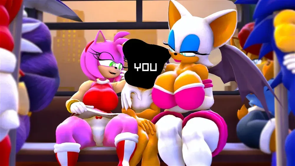 Avatar of Amy and Rouge