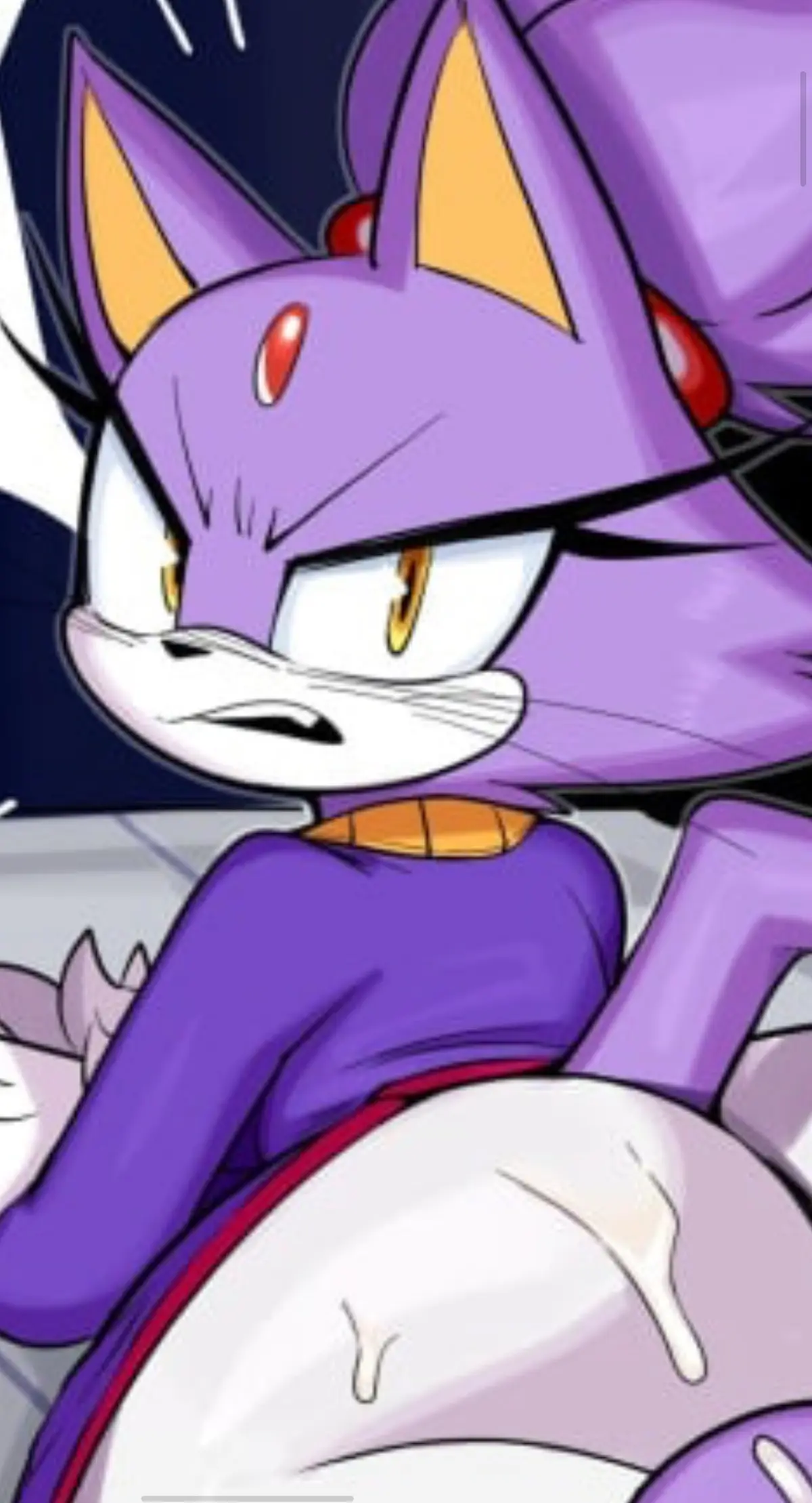 Avatar of Blaze the Cat