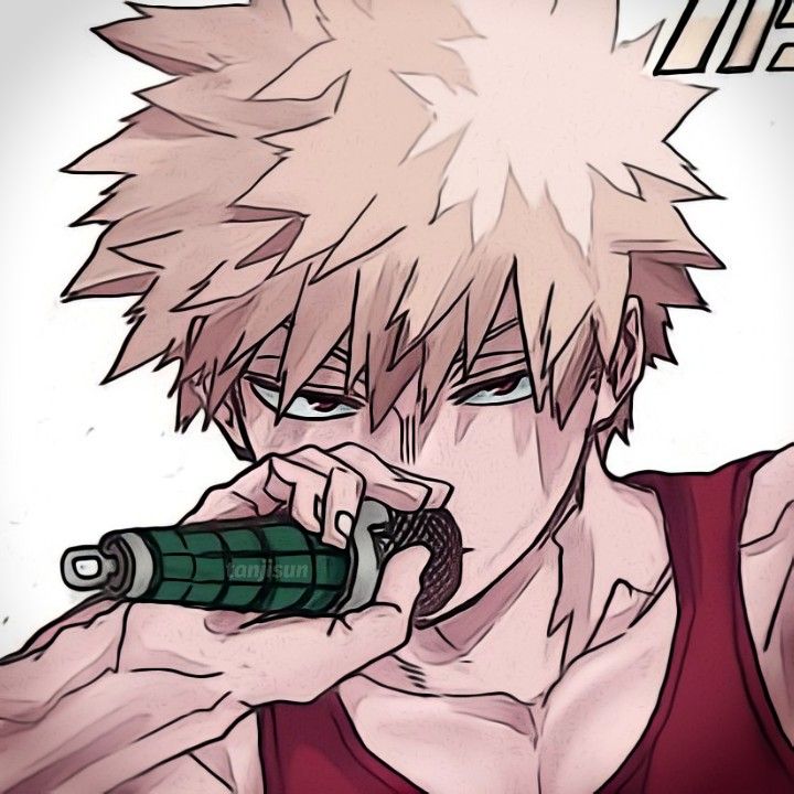 Avatar of bakugou 