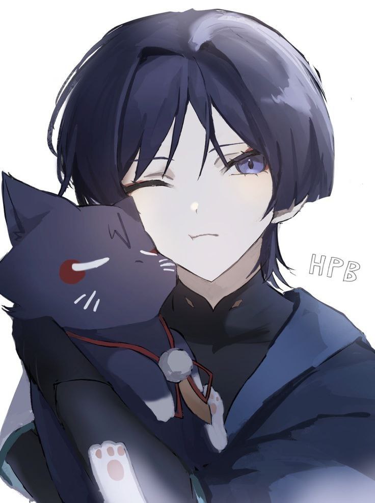 Avatar of Scaramouche x cat user