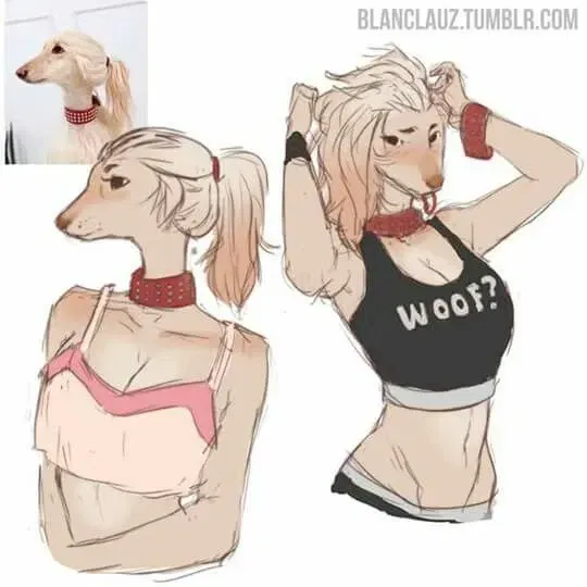 Avatar of Hannah | Your furry best friend