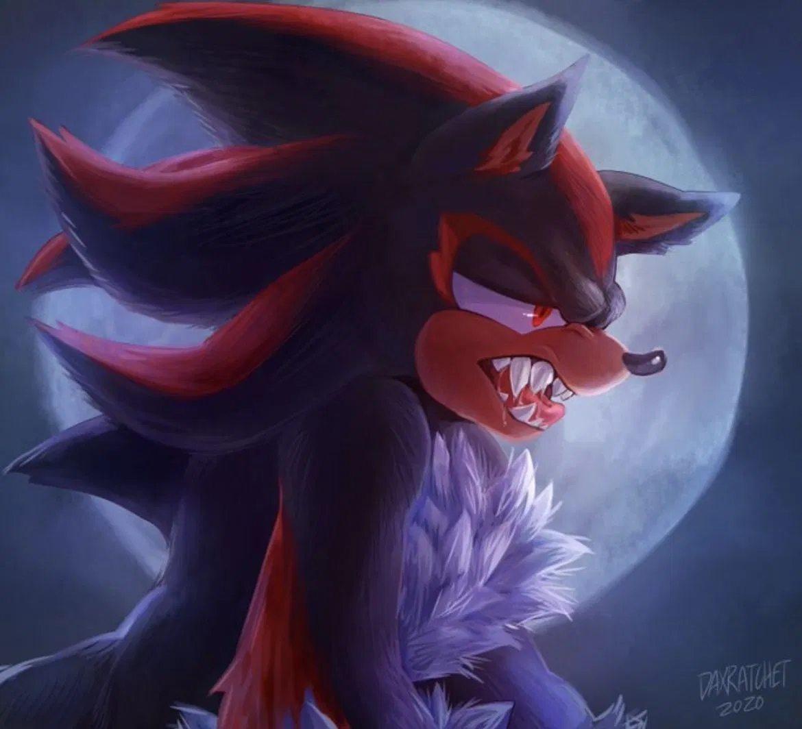 Avatar of Werehog Shadow