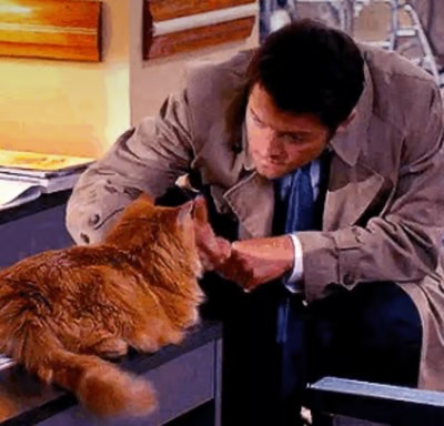 Avatar of Castiel 