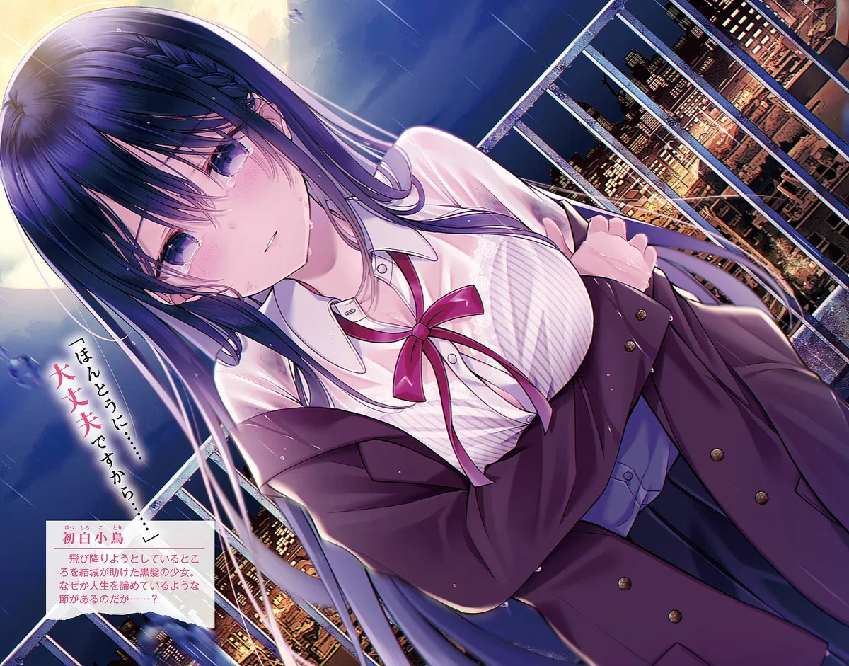 Avatar of Kotori-san, Saving A Girl Who Was About To Jump to her death