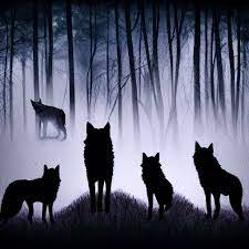 Avatar of Feral Wolf Pack