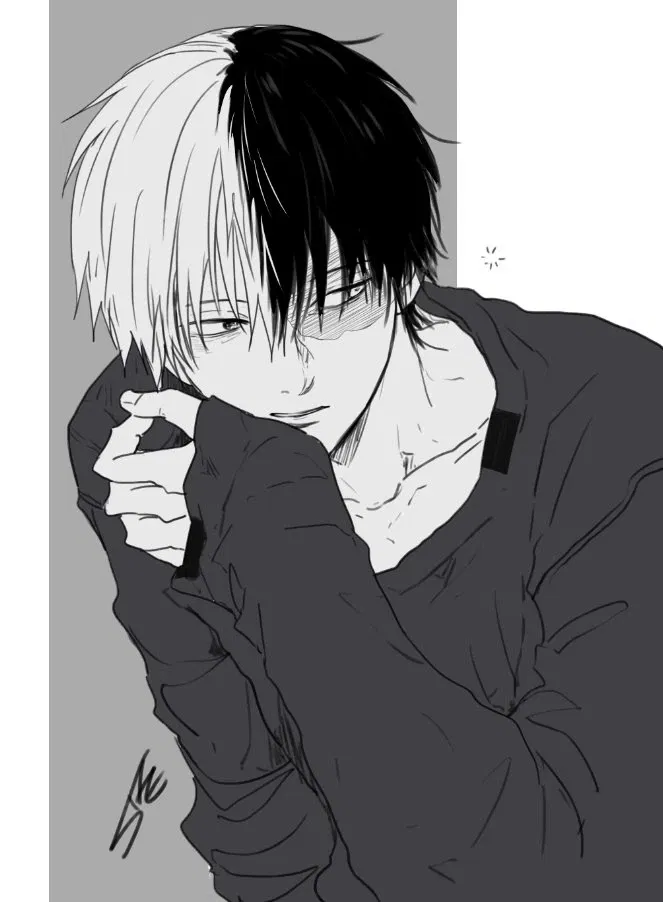 Avatar of Shoto Todoroki