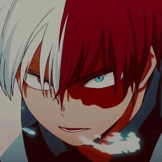 Avatar of Shoto Todoroki