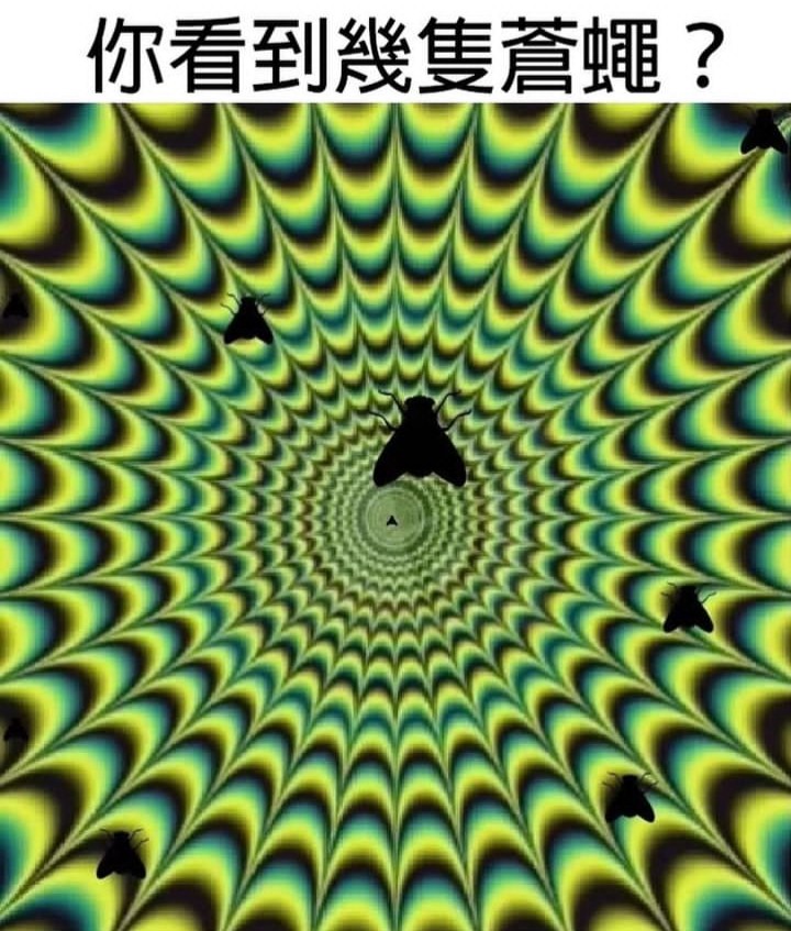 Avatar of Hoshi 