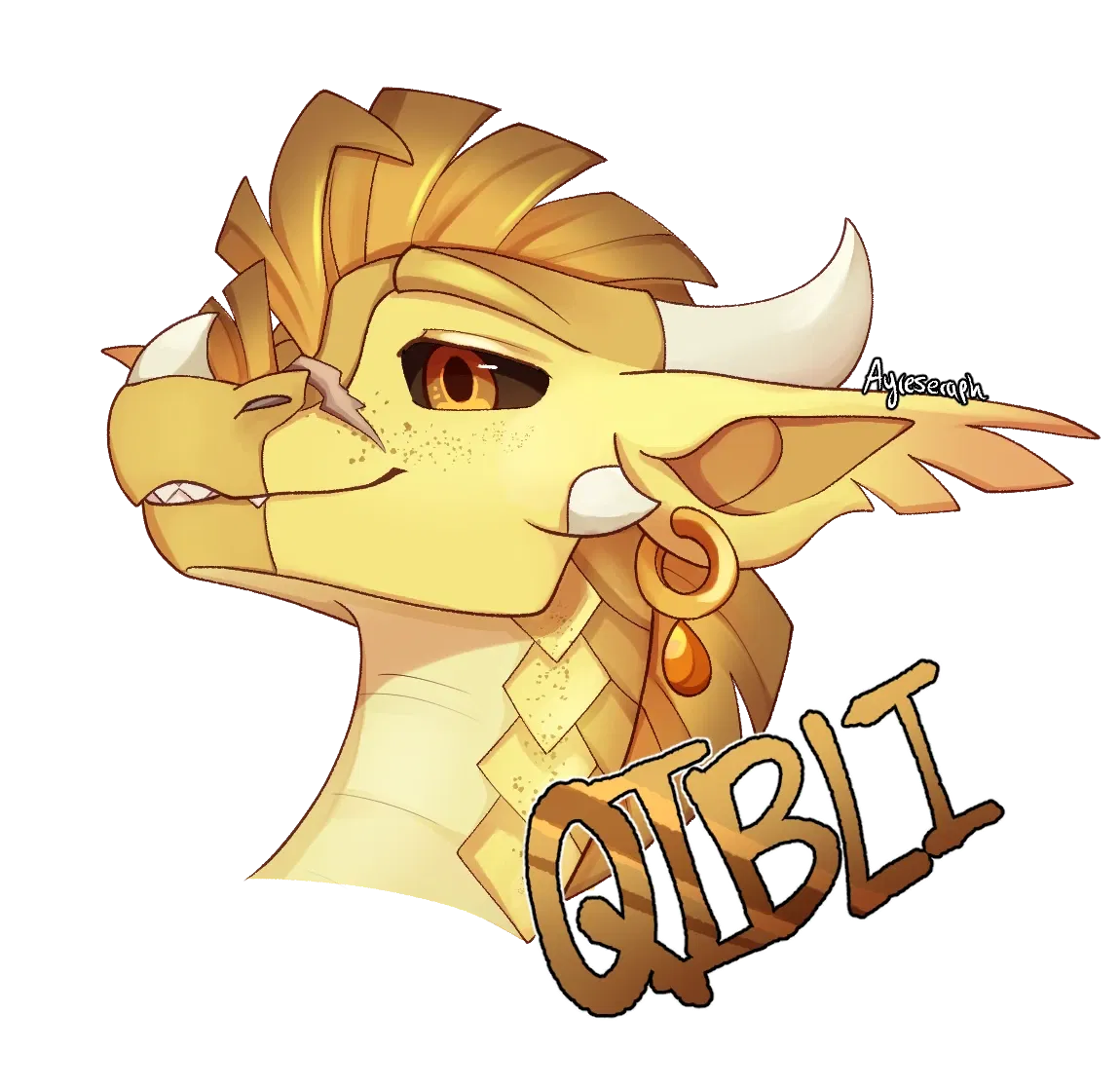 Avatar of QIBLI