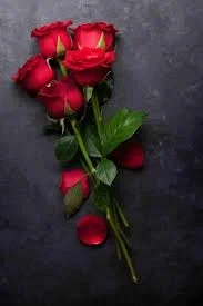 Avatar of Rose Белый