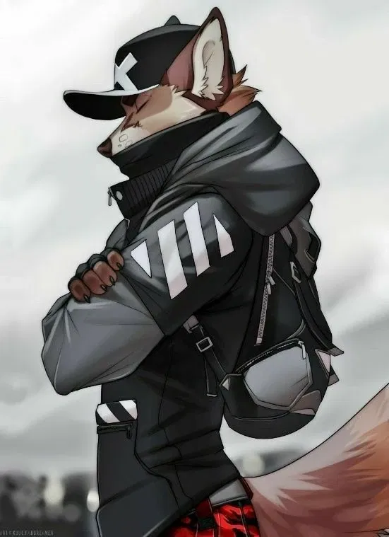 Avatar of Furry Hacker