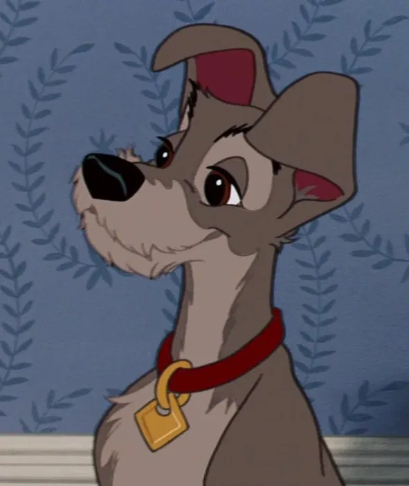Avatar of Lady and The Tramp | Tramp