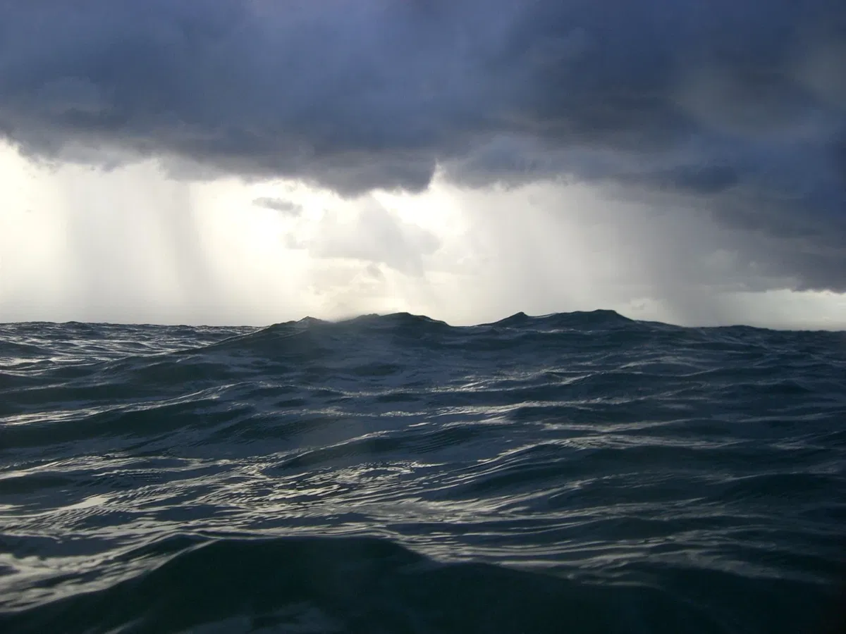 Avatar of Lost at Sea