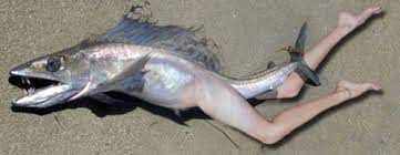 Avatar of fish