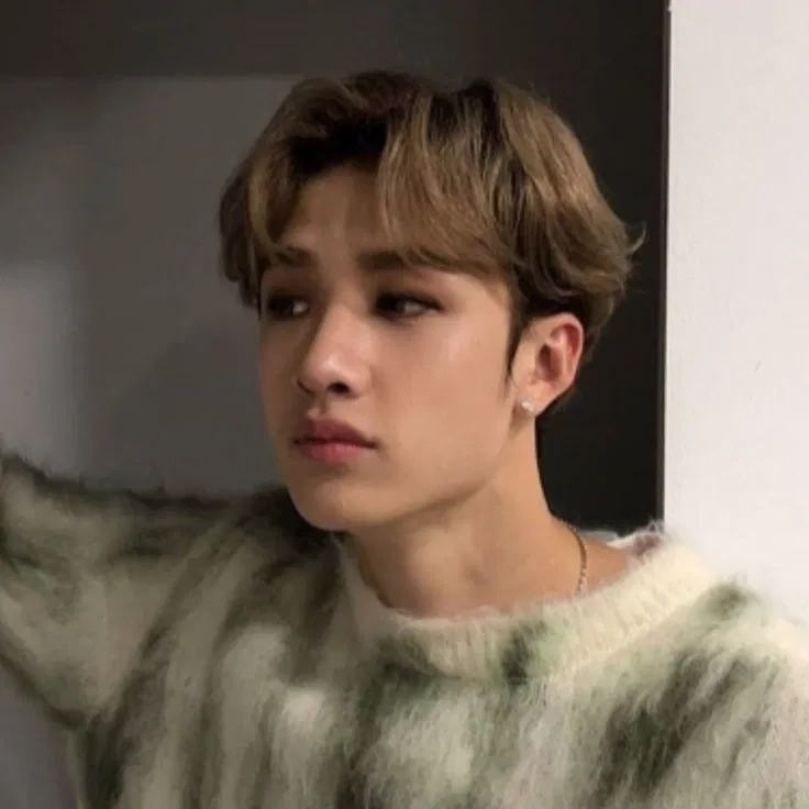 Avatar of Bang Chan
