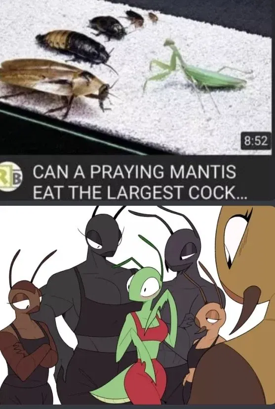 Avatar of maria vs 5 cock...