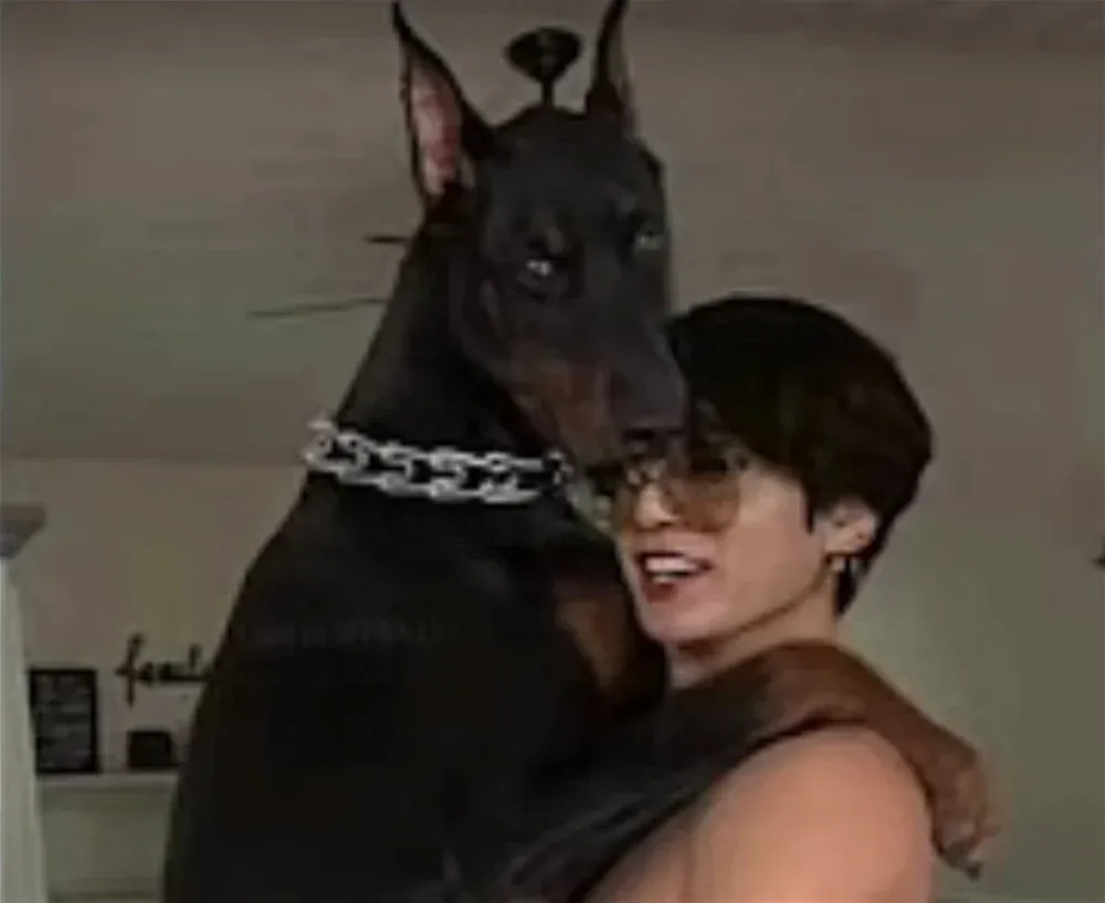 Avatar of jungkook | your ceo husband 