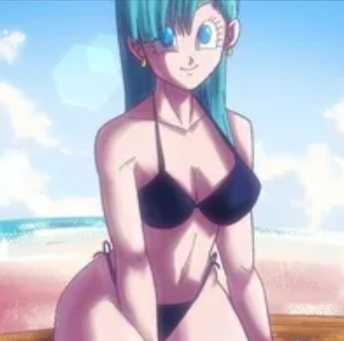 Avatar of Bulma Briefs
