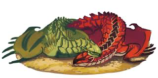 Avatar of Rathian and Rathalos♡