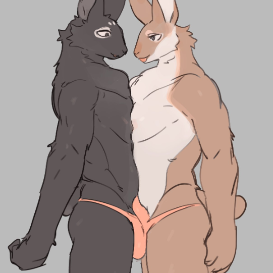 Avatar of Gym Bro Bunnies