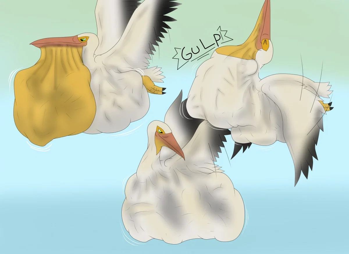 Avatar of Friendly beach Pelican/Pelican vore