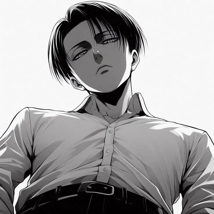 Avatar of Levi Ackerman 