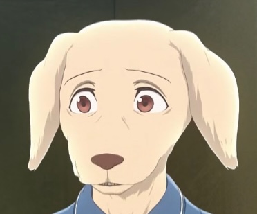 Avatar of Jack the Labrador - Beastars