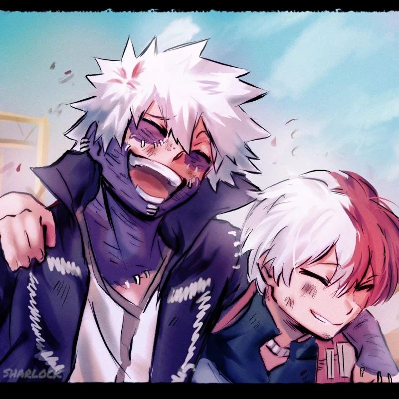 Avatar of Shoto & Touya Todoroki