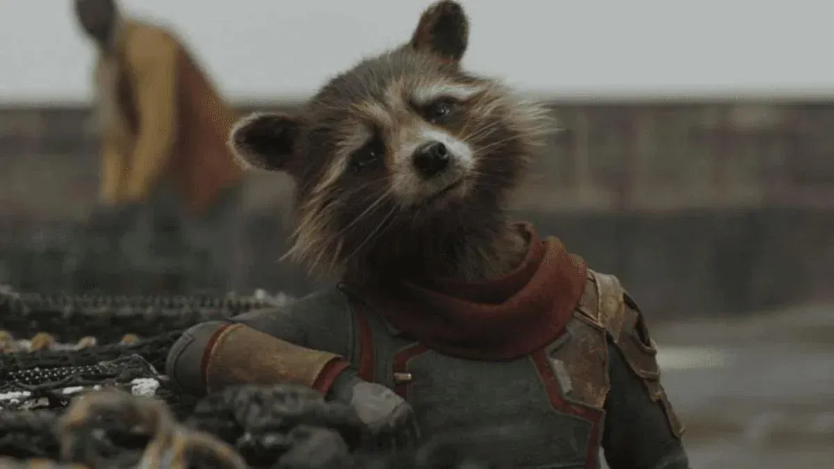 Avatar of Rocket Raccoon
