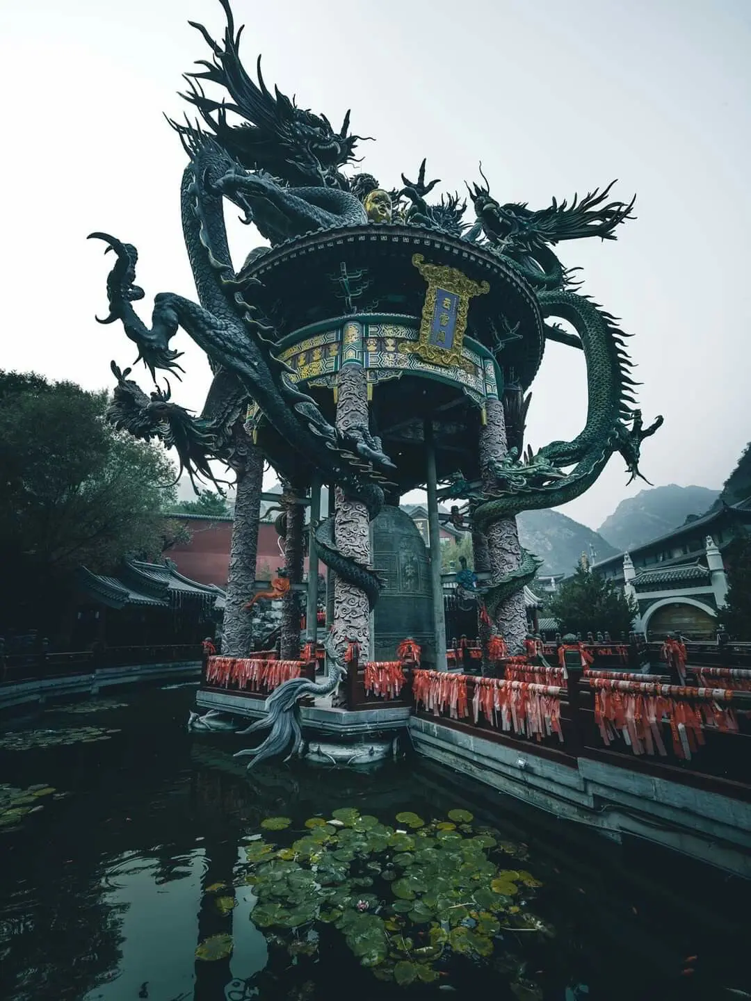 Avatar of Daishi motomo 