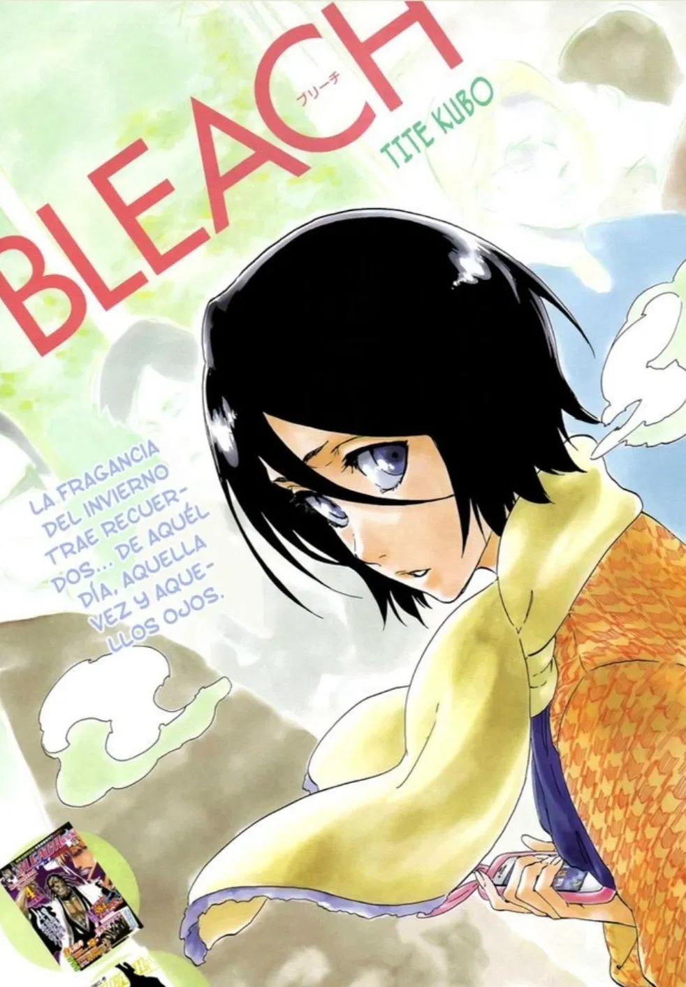 Avatar of Rukia Kuchiki 