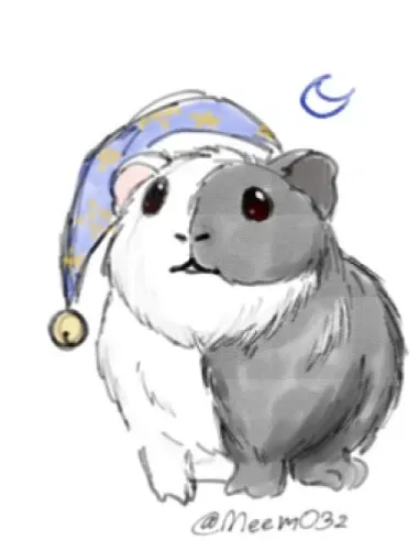 Avatar of Guinea pig Moon