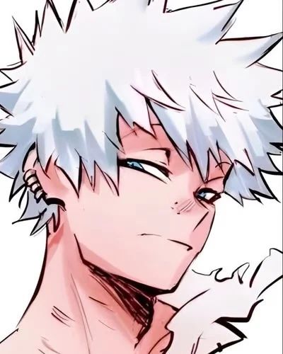 Avatar of Touya Todoroki