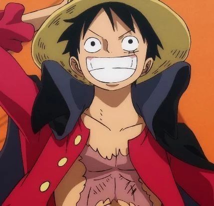 Avatar of Roommate Luffy