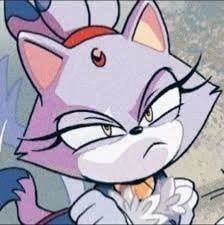 Avatar of Blaze the cat