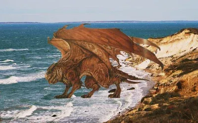 Avatar of -Elwah Brown Dragon-
