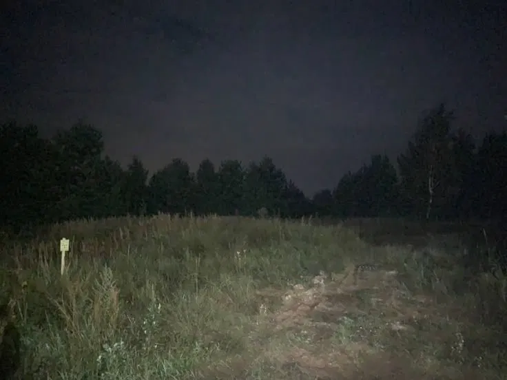 Avatar of Scary forest 