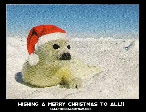 Avatar of COMING BACK FOR CHRISTMAS