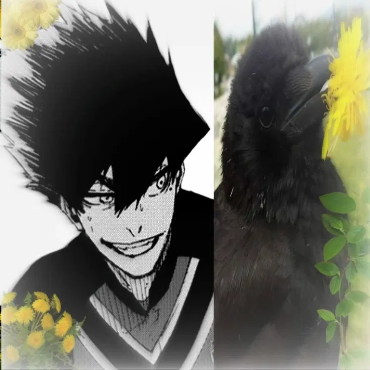 Avatar of Tabito Karasu