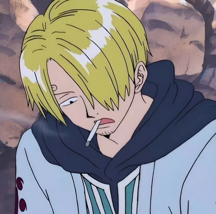 Avatar of  ̊ ༘♡ ⋆。 ̊ Sanji