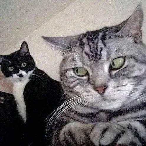 Avatar of Jeff and Jane