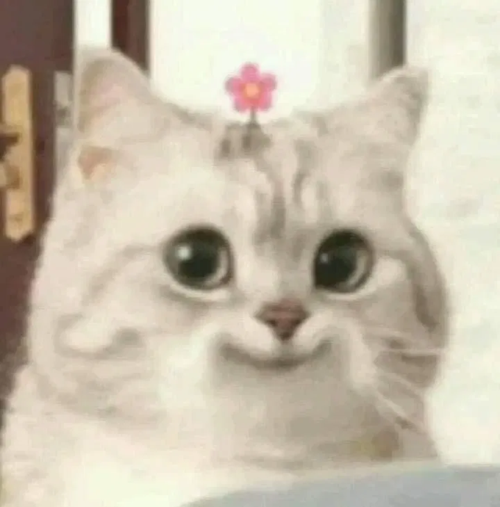 Avatar of I'M TAKING  BOT REQUEST °ʚ🎀ɞ°